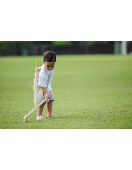 Set complet de minigolf