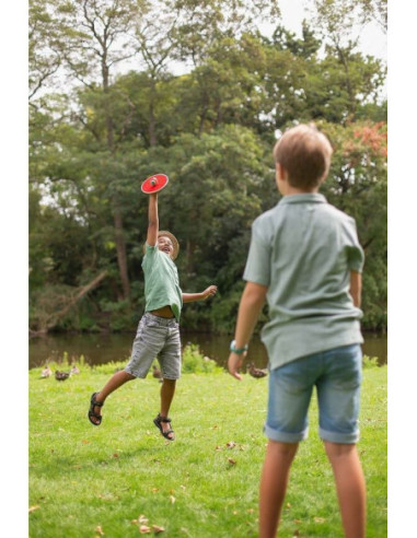 Joc de llançament de pilota
