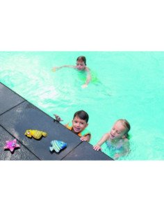 Animals bussejadors: Estrella, cavallet i peix 2