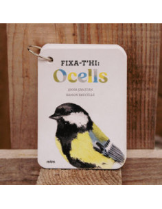 FIXA-T’HI: OCELLS