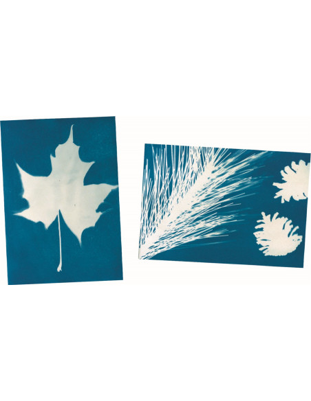 Paper per a impressió solar Nature Zoom