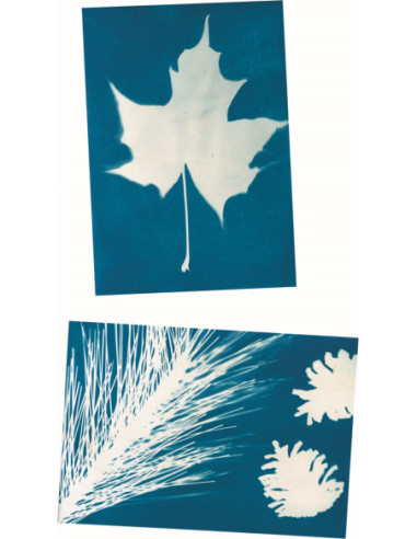 Paper per a impressió solar Nature Zoom