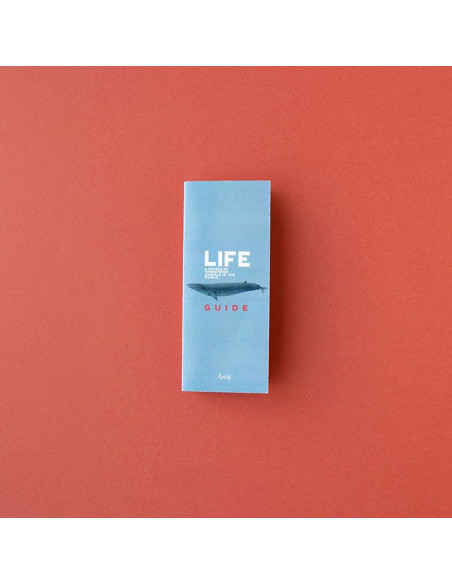 Life puzzle de Londji