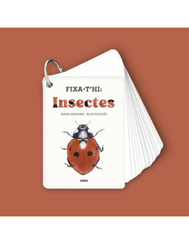 Fixa-t’hi: Insectes