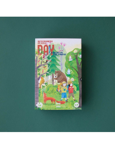 Night & day in the forest