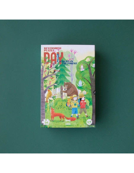 Night & day in the forest