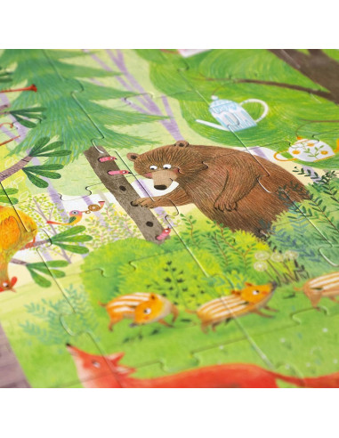 Night & day in the forest