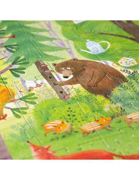 Night & day in the forest