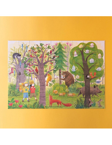 Night & day in the forest