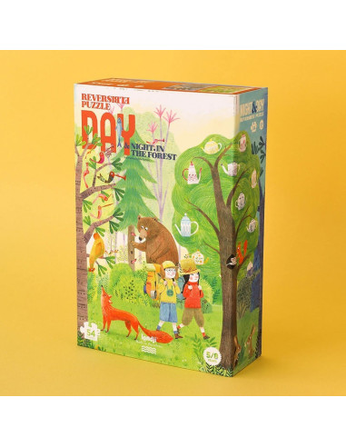 Night & day in the forest