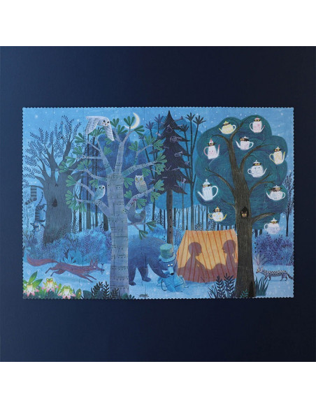 Night & day in the forest