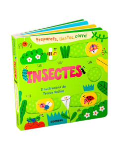 Insectes