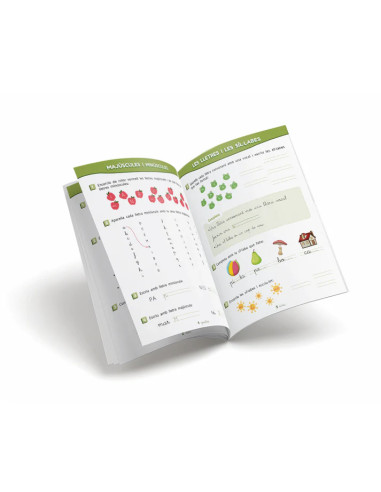 Quadern de llengua 1r – Exercicis fonamentals per a preparar l’entrada al 2n curs
