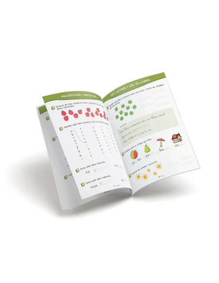 Quadern de llengua 1r – Exercicis fonamentals per a preparar l’entrada al 2n curs