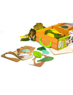 Joc Miniland Botànica Creativa | Exploració i aprenentatge de la natura 2