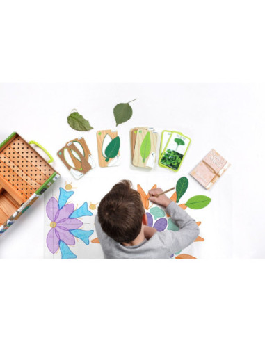 Joc Miniland Botànica Creativa | Exploració i aprenentatge de la natura