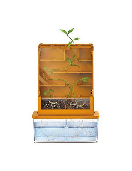 Laberinto de Cultivo Green Science 4M | Kit Científico de Botánica