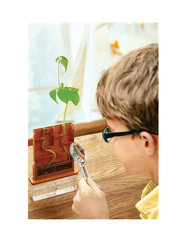 Laberinto de Cultivo Green Science 4M | Kit Científico de Botánica