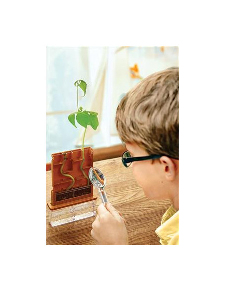 Laberinto de Cultivo Green Science 4M | Kit Científico de Botánica