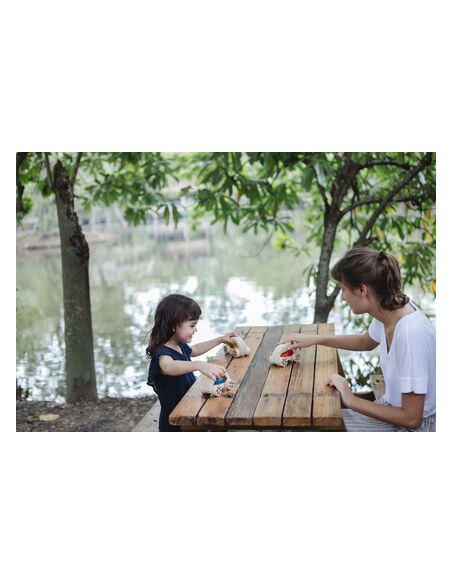 Cotxe de fusta amb aigua de color groc